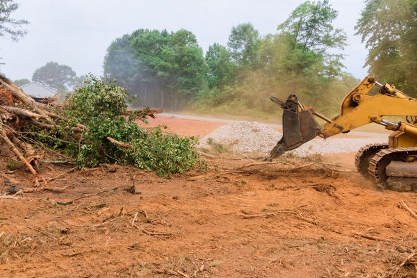 Ground Clearing in Bettendorf