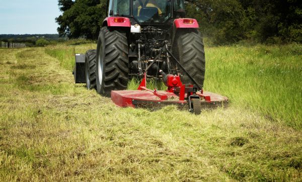 Brush Clearing Service in Bettendorf