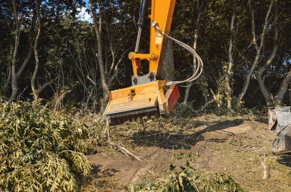 Brush Removal Service in Bettendorf
