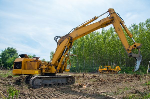 Farm Clearing in Bettendorf