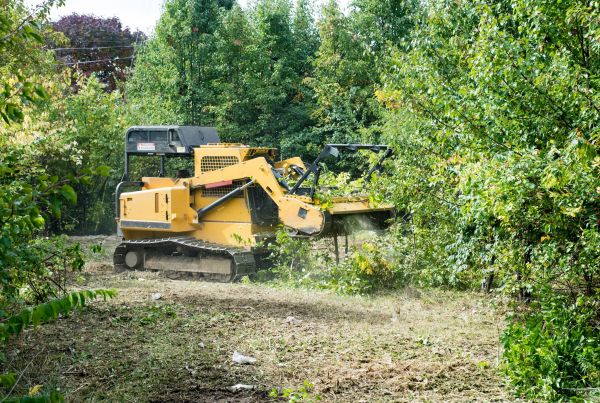 Pathway Clearing in Bettendorf