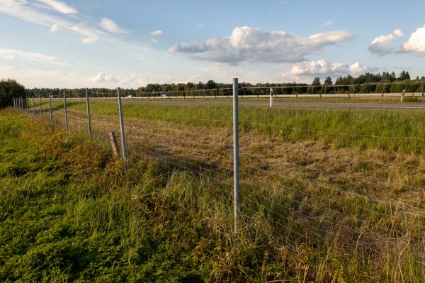 Property Line Clearing in Bettendorf