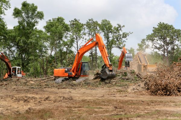 Commercial Lot Clearing in Bettendorf