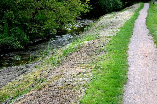 Trail Cutting in Bettendorf